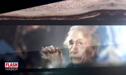 Yeni Dünya Düzeni