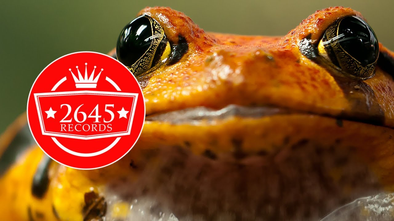 Bahadır Ozan Ft Abdullah Özdoğan - K 3 R M 1 T Remix