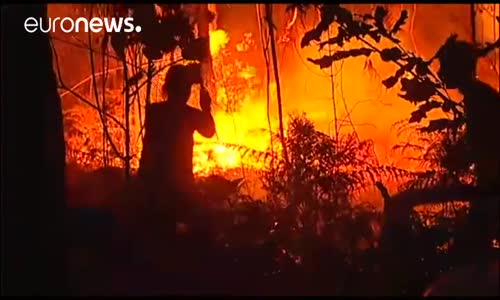 İber Yarımadası'nda Çıkan Yangınlarda En Az 35 Kişi Hayatını Kaybetti 