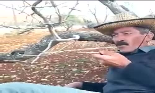 Western Filmlerindeki Kovboyları Taklit Eden Dayı 