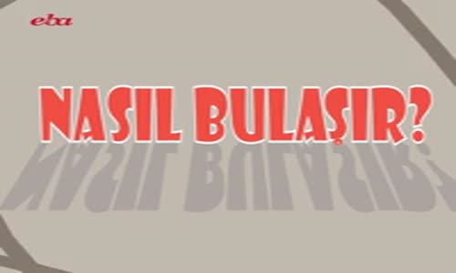 EBA, Eğitim Bilişim Ağı, Ders, Haber, e-Dergi, e-Kitap, Video, Ses, Görsel, e-Doküman, İçerik - Eğitim Bilişim Ağı_2