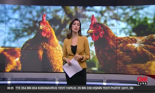 Tavuk fiyatları neden yükseldi- Sorunun cevabını 'Tavuk Üretim Tesisi'nde aradık