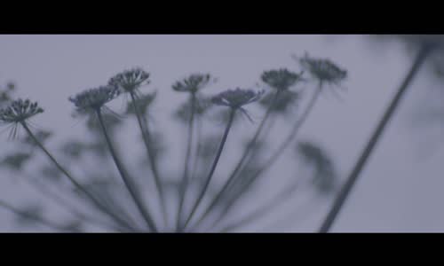 Aynur Aydın - Anlatma Bana