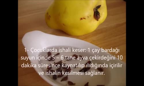 Ayva Çekirdeği Mucizesi!!!