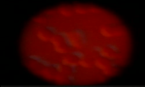 20 05 2025