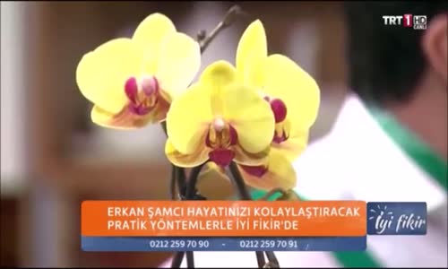 Erkan Şamcı-Orkide Bakımı