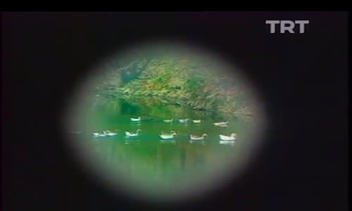 Nuray Yılmaz'ın Trabzon Akçaabat Ve Düzköy Gezisi İzle