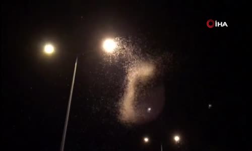 Erzurum’da kelebeklerin ölüm dansı geceyi beyaza bürüdü 