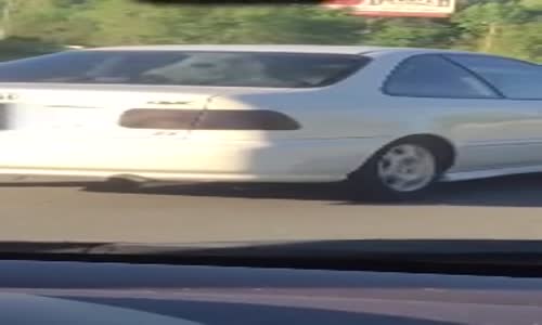 Arabanın Arka Koltuğunda Seyahat Eden Midilli 