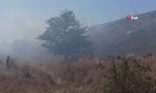 Otoyol Kenarına Atılan Sigara İzmariti Yangına Neden Oldu 