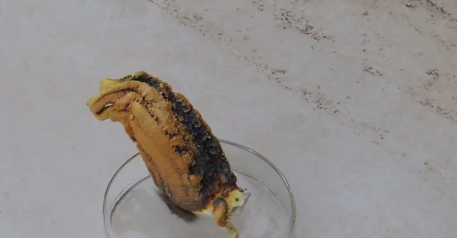 Amonyum Dikromat Ve Civanın İlginç Reaksiyonu