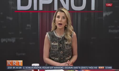 Dipnot