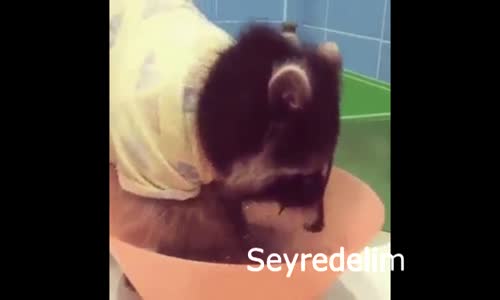 Haydi Güne Gülerek Başlayalım - 28