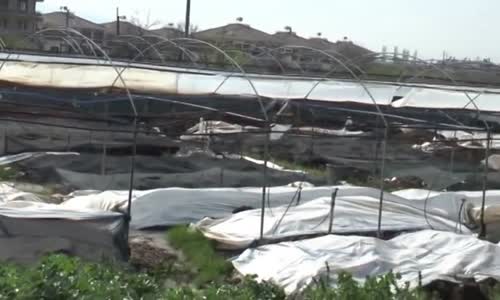 Solucan Gübresi Üretimi Dr. Cezmi Saday 0532 2924122