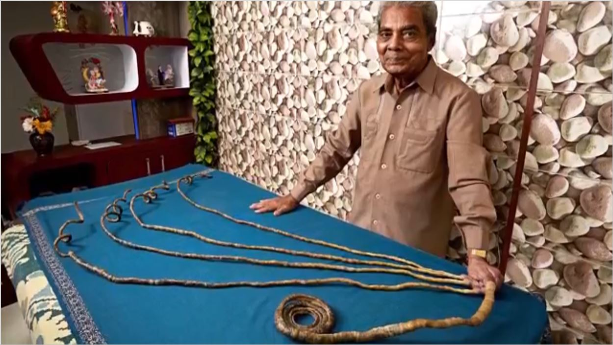 Oha Dedirten 13 Fotoğraflı Bilgi