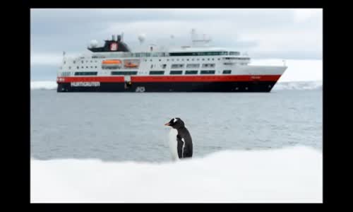 Antarktika (güney kutbu) gezisi - 2012