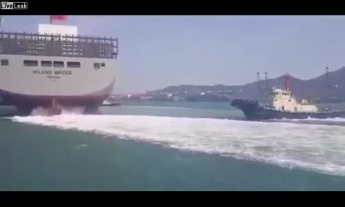 Bir konteyner gemisi büyük bir vinçle çarpıştı