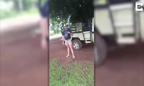 Çiftçinin Komik Dansı