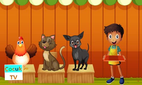 Pazara Gidelim Bir Köpek Alalım 