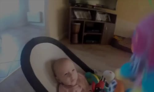 Bebek Ve Köpeklerin Komik Görüntüleri