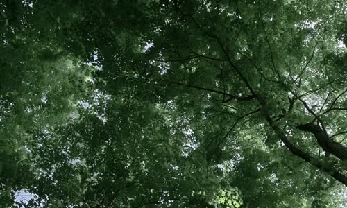 Banshee 4.Sezon 1.Bölüm 