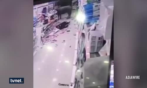 Süpermarkette Boğa Dehşeti : Hamile Kadına Böyle Saldırdı