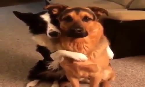 En Yakın Arkadaşın Kim