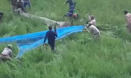 Leopar eğlenceli Tuzaktan Kaçış Filmi 