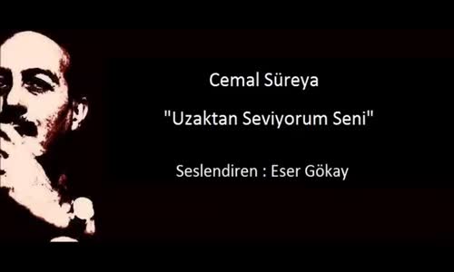  Cemal Süreya  Uzaktan Seviyorum Seni