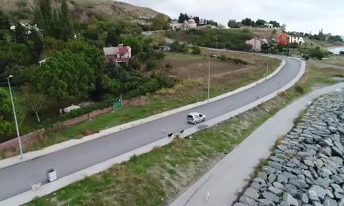 Emekli Bahri Amca, Sokak Hayvanlarına Gözü Gibi Bakıyor