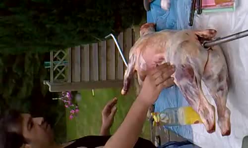 Kuzu Çevirme Tarifi