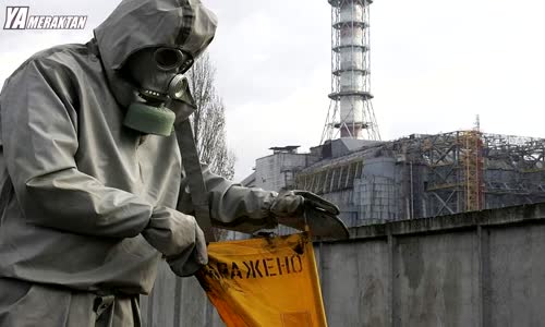 Çernobil'de Gizlenen Yaratıklar Nerede Yaşıyor
