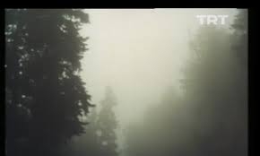 Bolu Yedigöller Milli Parkı İzle