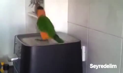 Haydi Güne Gülerek Başlayalım - 16