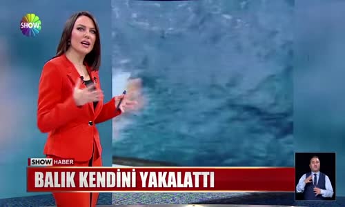 Balık kendini yakalattı 