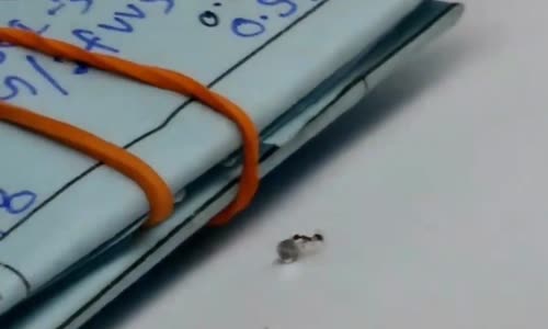 En Masum Elmas Hırsızı