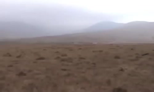 Dev Tarım  Makinaları.