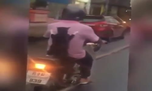 Motora binen kedinin yere düşmeme çabası