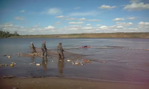 HEY MAŞALLAH BALIKLARA BAK