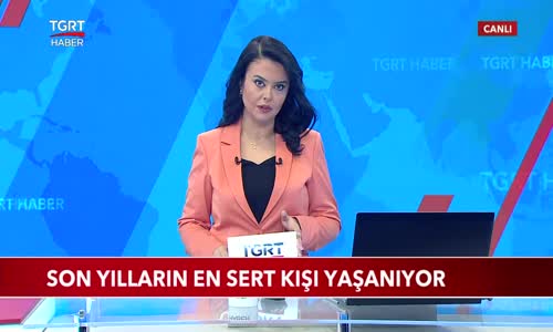 ABD'de Son Yılların En Sert Kışı Yaşanıyor