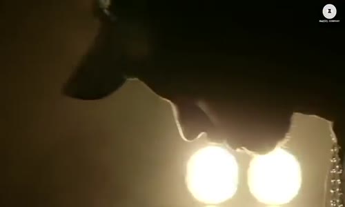 Jachda Nai  Official Music Video  Geet Shah  Vikesh Singh  Huma Sayyed  Altaf Sayyed