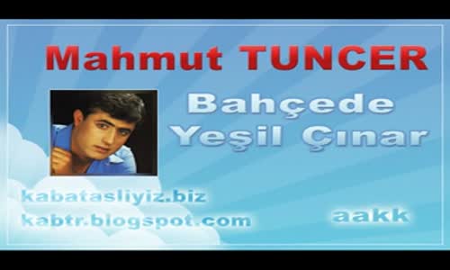 Mahmut Tuncer Bahçada Yeşil Çınar