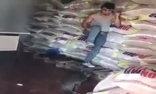 Kediden Ölümüne Korkan Eleman