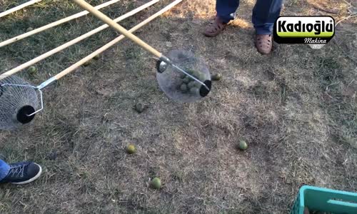 CEVİZ TOPLAMA ALETİ TEKİRDAĞ UYGULAMA FUARI