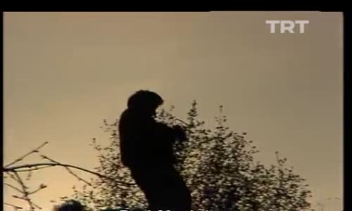 İzzet Altınmeşe-Bir Dilim Elma İzle