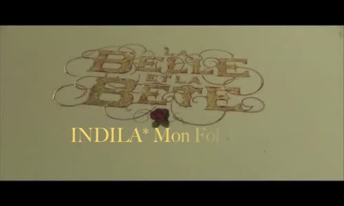 INDILA - Mon Fol Amour 