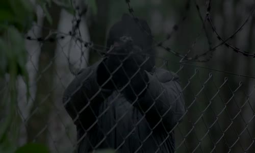 Cesur ve Güzel 19 Bölüm Fragman