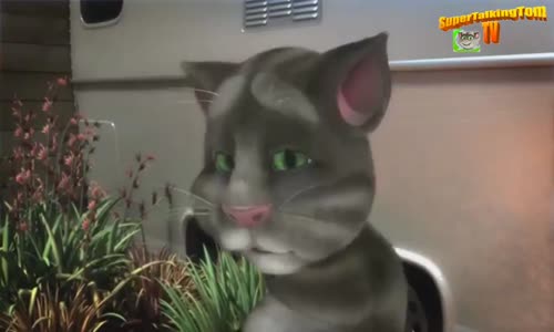 Düğün Dernek - Entarisi Dım Dım Yar - Talking Tom Versiyon