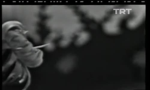 Zeki Müren-Gözlerin Neden Çok Güzel Bugün izle