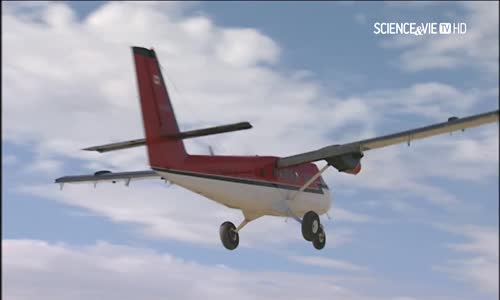 Grönland Balinası 1080p